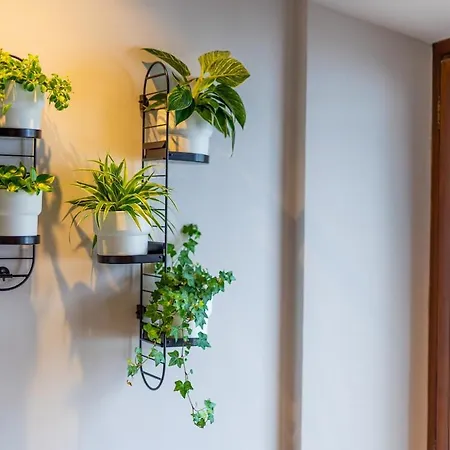 Le Fije - Luxury Apartment *